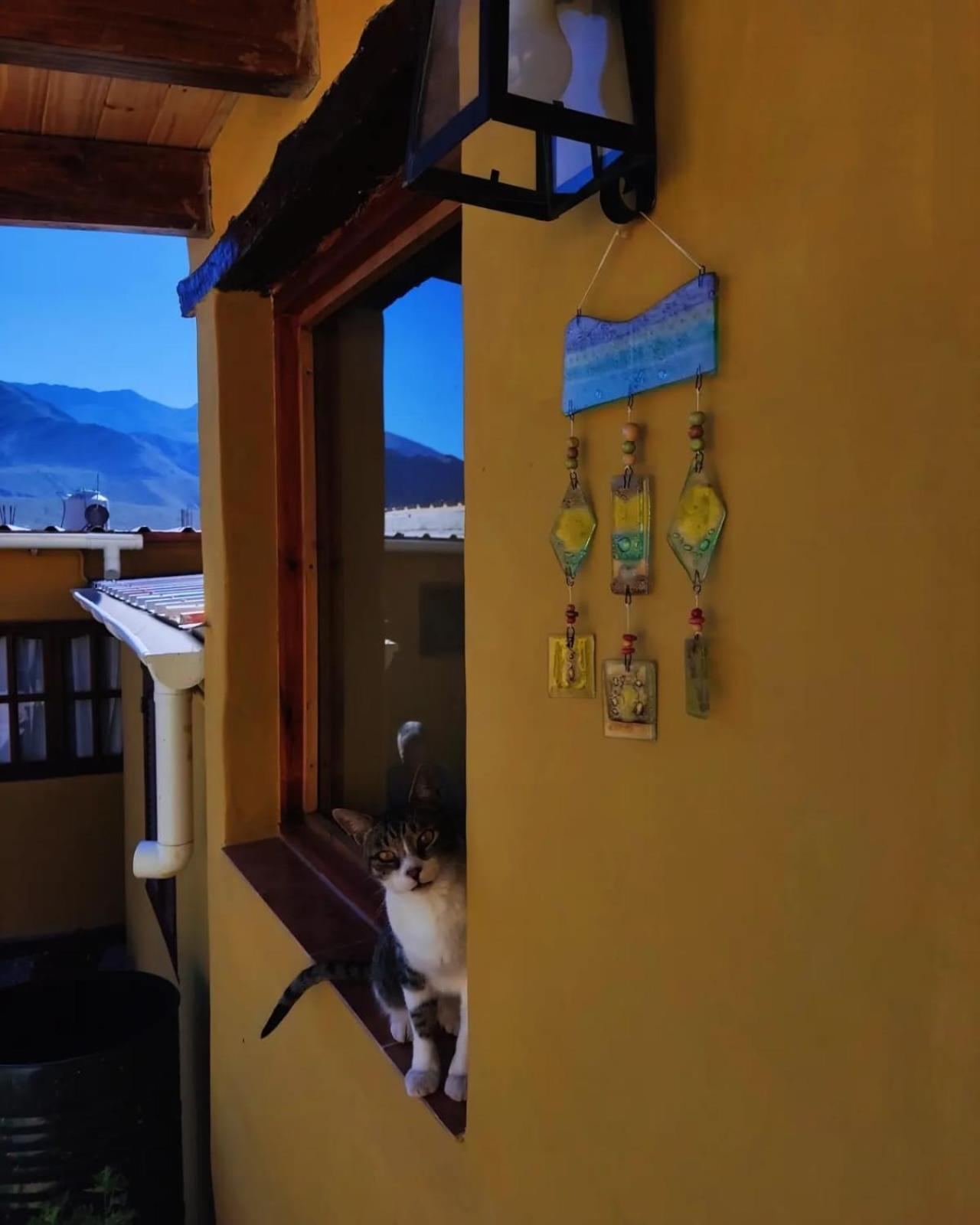 Retama Acomodação com café da manhã Tilcara Exterior foto
